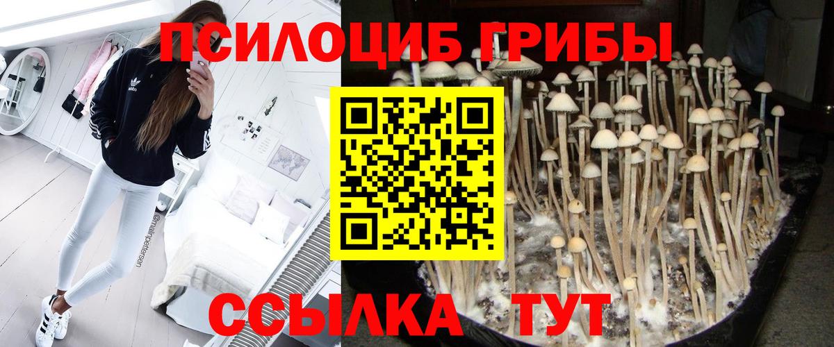 Псилоцибиновые грибы MAGIC MUSHROOMS Светлоград